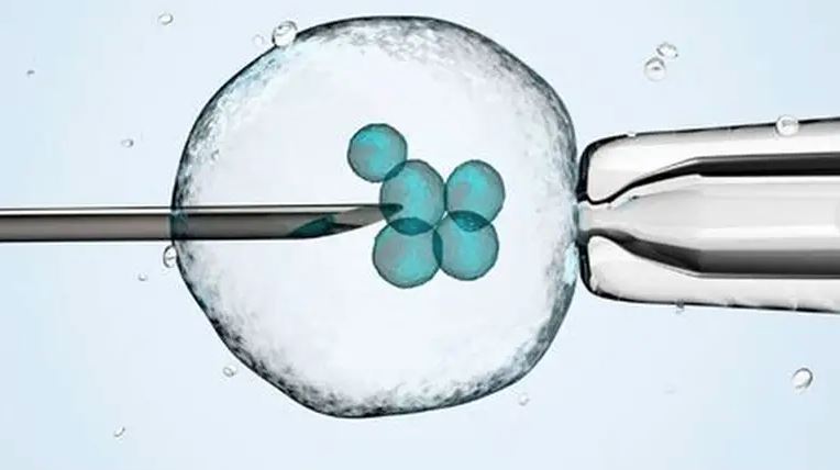 non anonymous egg donation