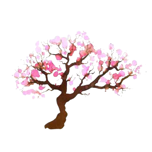blossom logo removebg preview