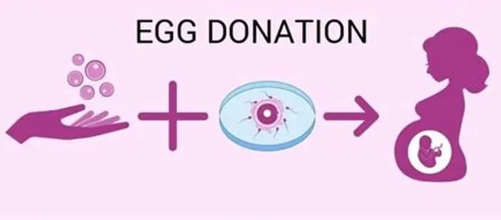 known egg donation