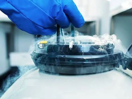 egg (oocyte) freezing & storage