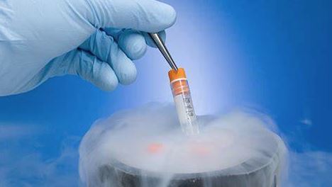 embryo freezing & storage