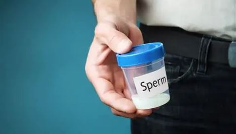 semen analysis